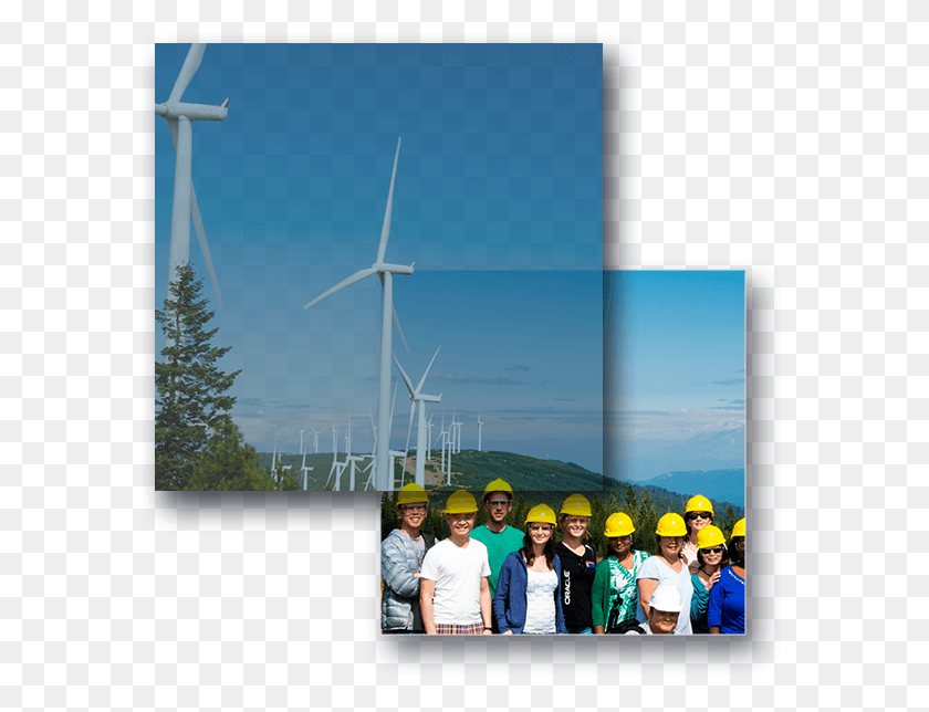 Be The Best Place To Work In The Industry Wind Turbine, Person, Human