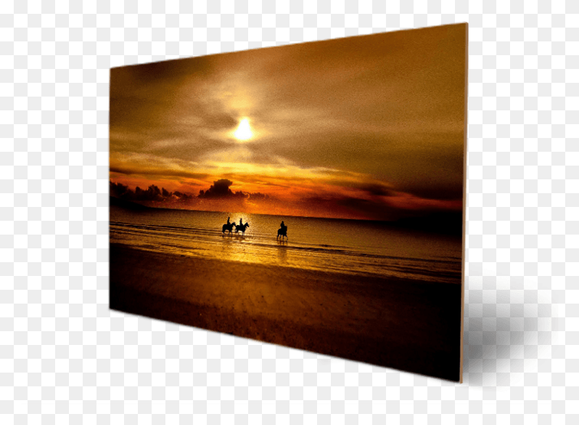 801x571 Descargar Png Beach Amp People With Sunset Caballos En La Playa Atardecer, Nature, Outdoors, Sea Hd Png