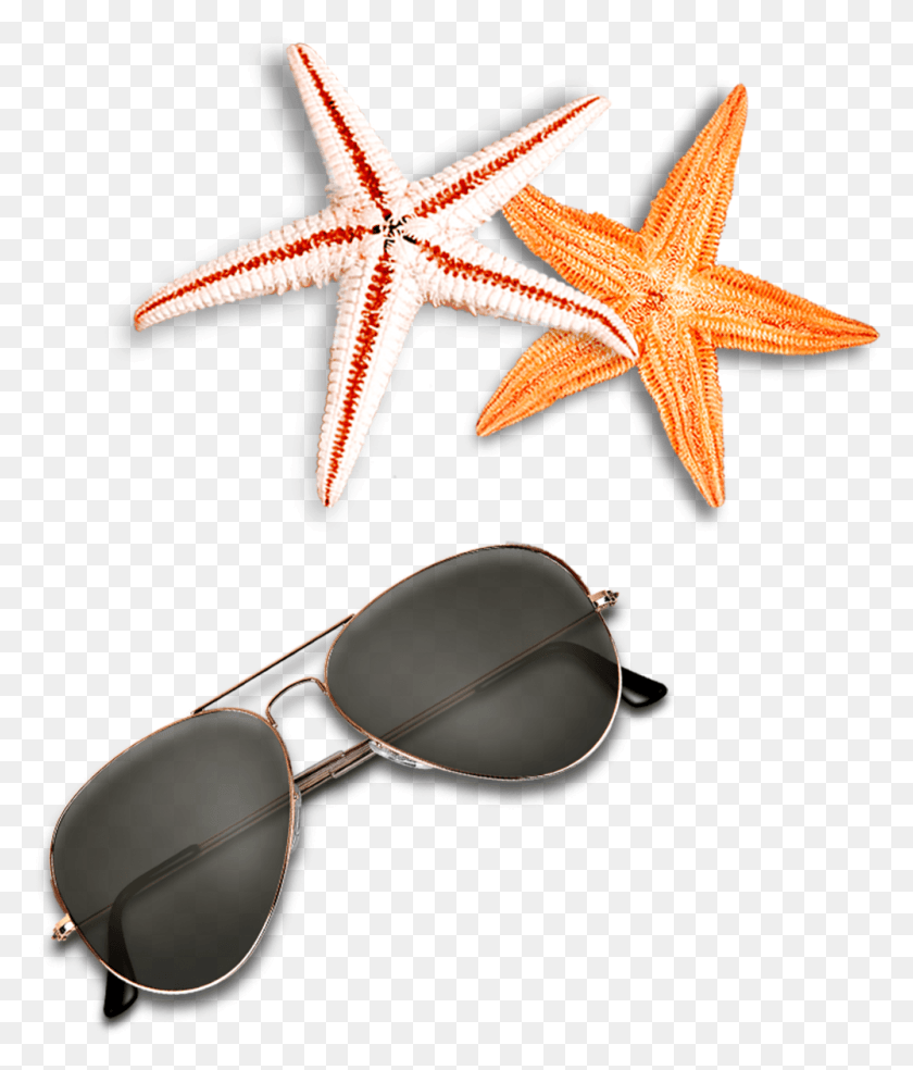 1000x1185 Beach Elements Sunglasses Starfish Free Clipart Beach Elements Psd Free, Accessories, Accessory, Sea Life HD PNG Download