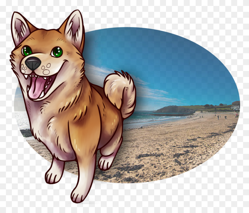 874x740 Beach Shibes Dog Yawns, Mammal, Animal, Person HD PNG Download