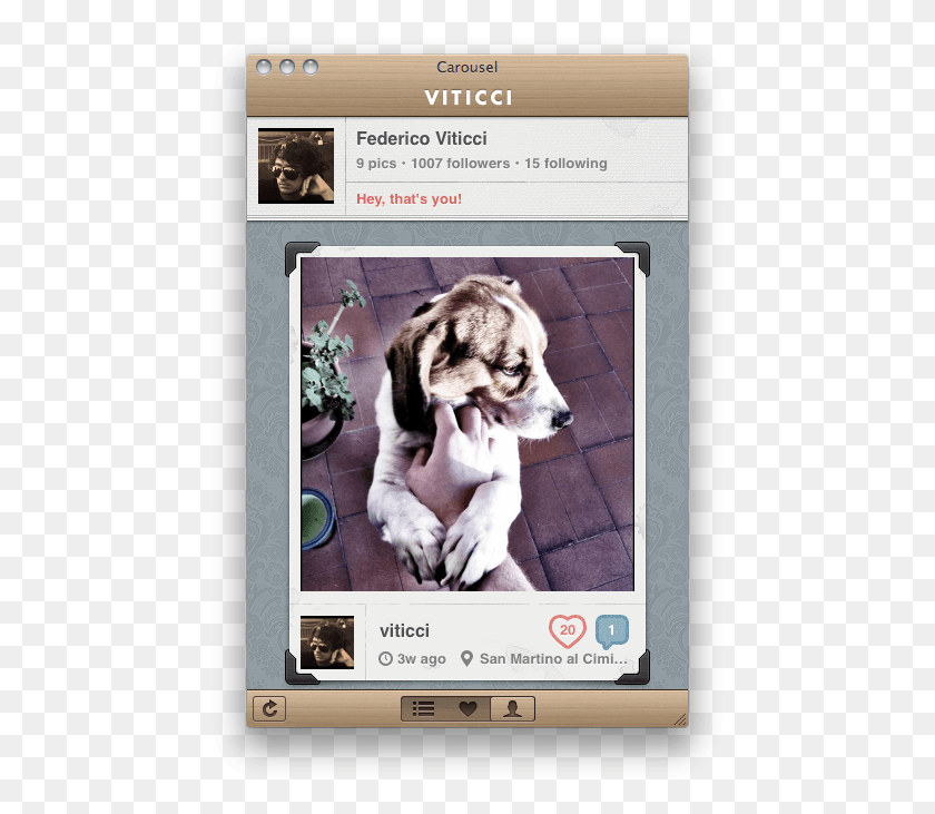 463x671 Beagle, Dog, Pet, Canine HD PNG Download