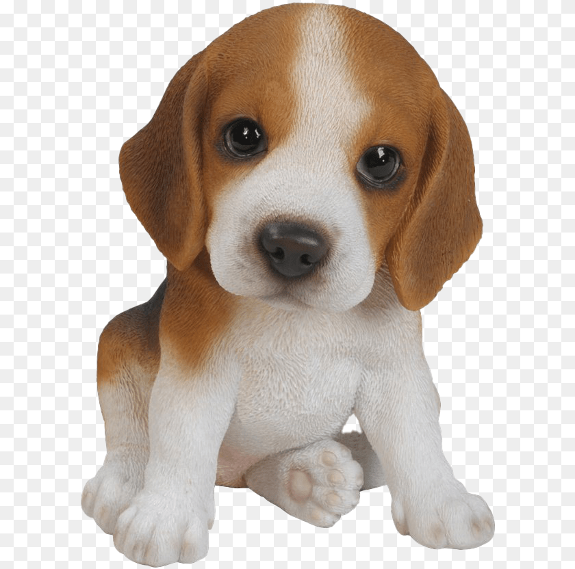 610x832 Beagle Background Image Beagle Puppy, Animal, Canine, Dog, Hound Transparent PNG