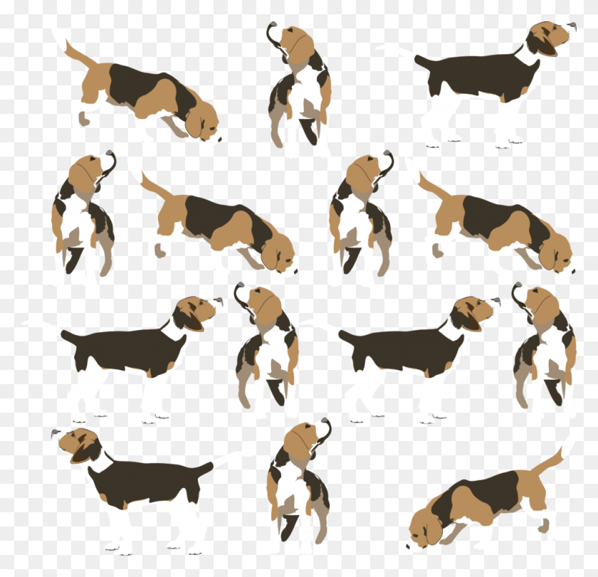 1000x964 Beagle Grid, Hound, Dog, Pet HD PNG Download