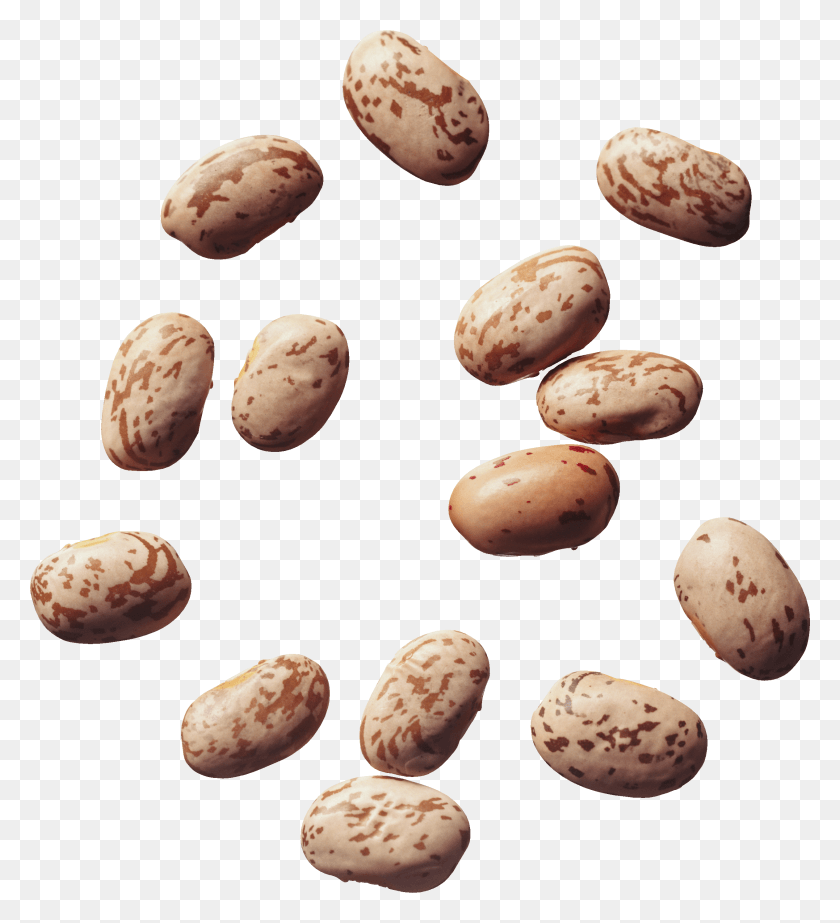 2526x2798 Beans Pinto Bean No Background, Plant, Vegetable, Food HD PNG Download
