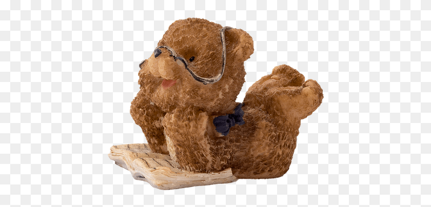 428x344 Bear Book Ceramic Isolated Read Brown Funny Brown Bear, Plush, Toy, Teddy Bear HD PNG Download