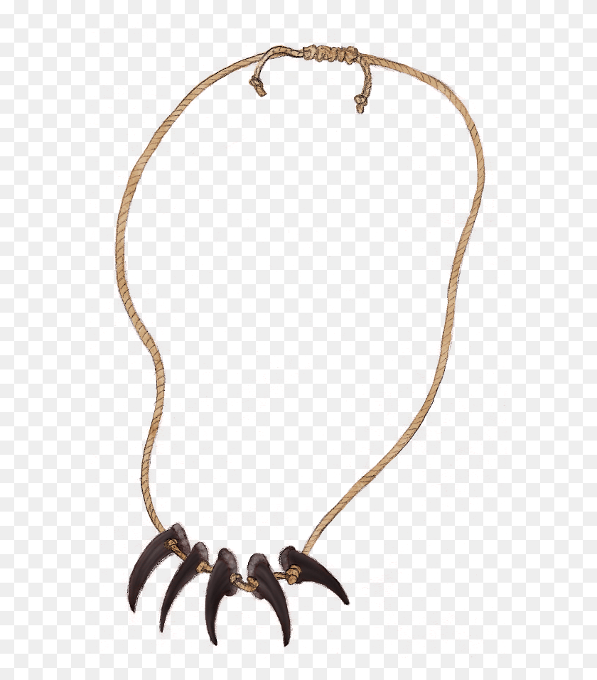 589x897 Bear Claw Necklace Revenant Bear Claw Necklace, Wiring, Light, Animal HD PNG Download