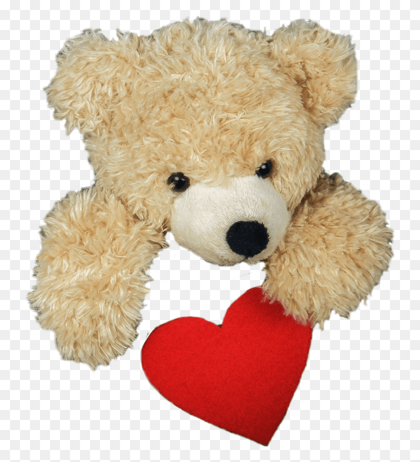 738x864 Bear Heart Valentine Teddy Bear, Toy, Plush HD PNG Download