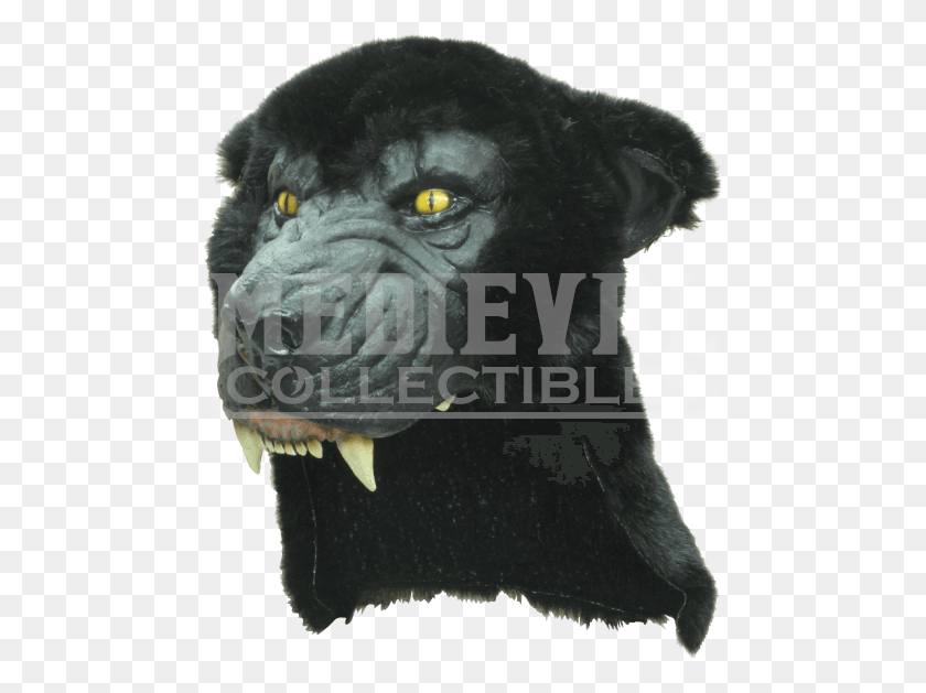 473x569 Bear Helmet Ghoulish, Ape, Wildlife, Mammal HD PNG Download