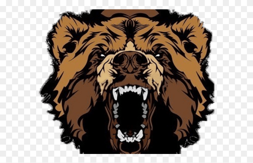 588x481 Логотип Медведя, Тигр, Дикая Природа, Млекопитающее Hd Png Скачать
