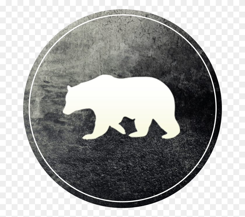 683x684 Логотипы Медведя, Коврик, Монеты, Деньги Hd Png Скачать