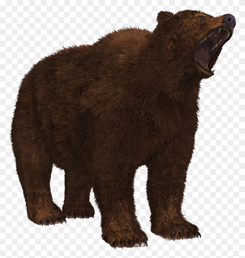 810x858 Bear Peninsular Grizzly Bear Transparent, Wildlife, Mammal, Animal HD PNG Download