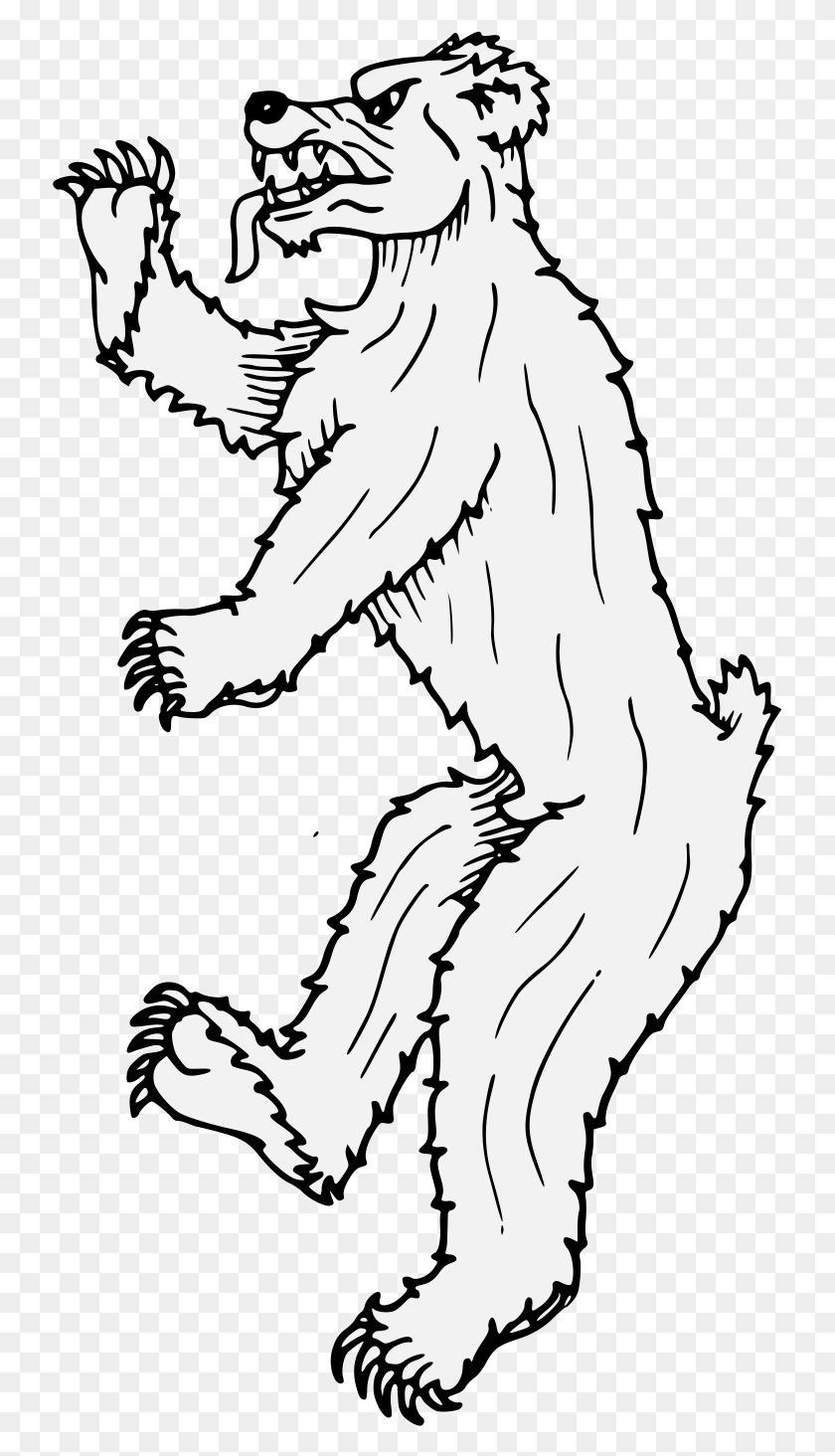 735x1404 Медведь Безудержный Иллюстрация, Дикая Природа, Животное, Млекопитающее Hd Png Скачать