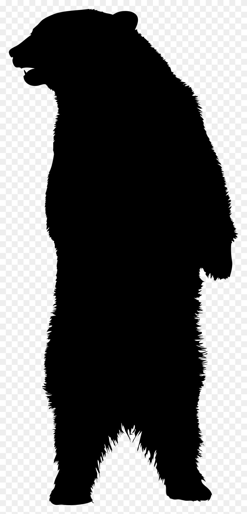 Стоящий медведь рисунок - 97 фото