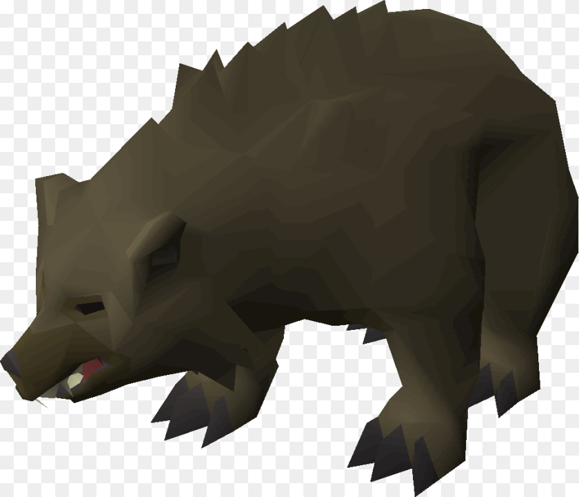 Bear Spawns Osrs, Animal, Boar, Hog, Mammal PNG