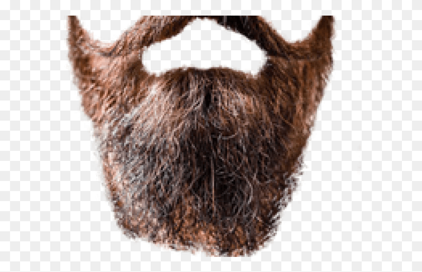 597x481 Beard For Photo Editing, Face, Mustache HD PNG Download