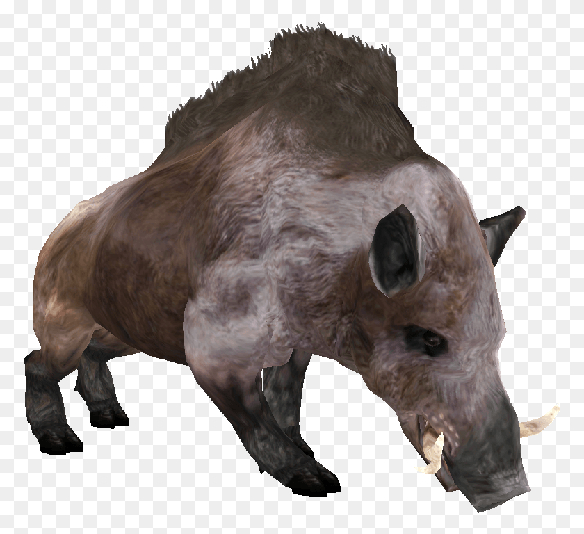 771x708 Beast Oblivian Boar Boars, Mammal, Animal, Horse HD PNG Download