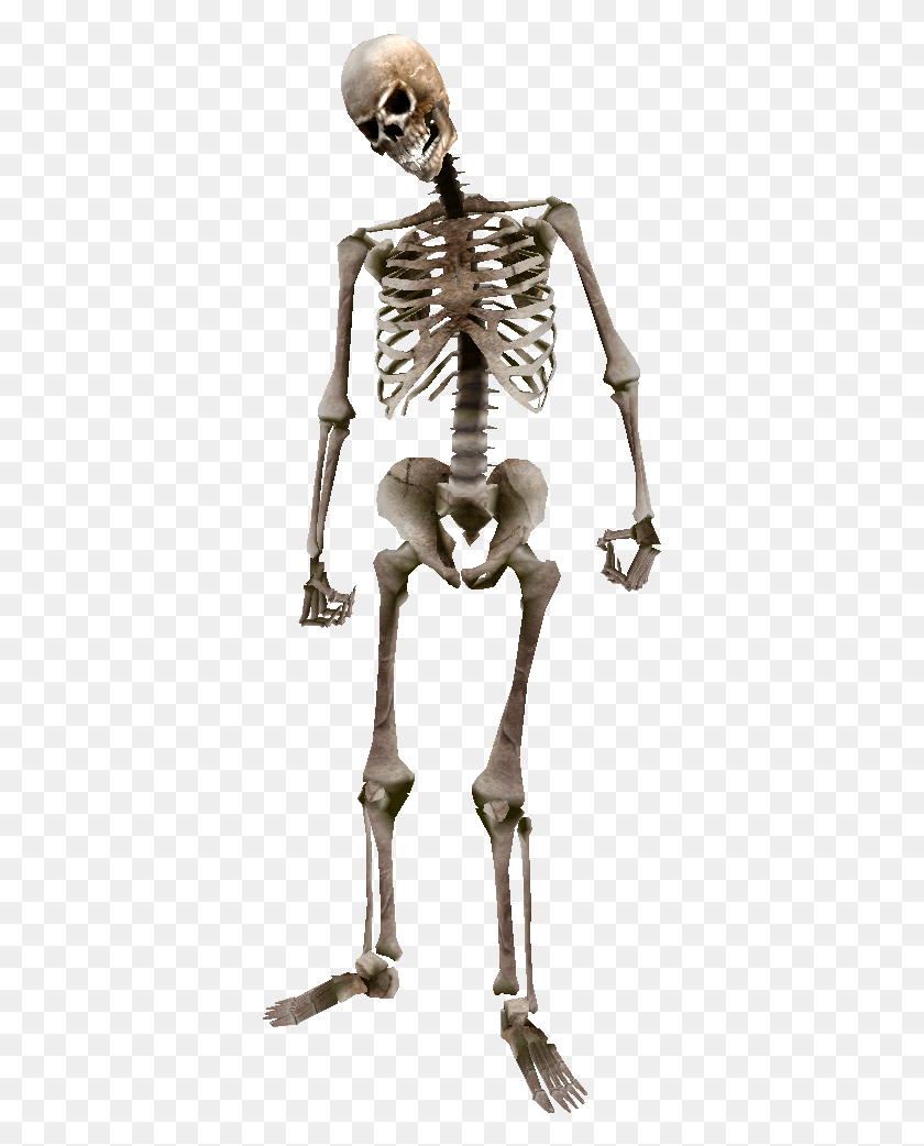 363x982 Beast Oblivion Skeleton Skeleton HD PNG Download