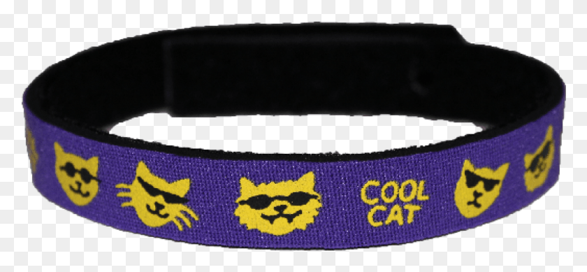 1426x603 Beastie Band Cat Collar Bracelet, Belt, Accessories, Accessory HD PNG Download