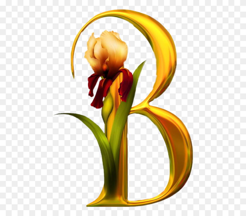 480x680 Png Красивые Алфавиты В Цветах Алфавит В Цветочном Дизайне Роз, Растение, Цветение, Ирис Png Скачать