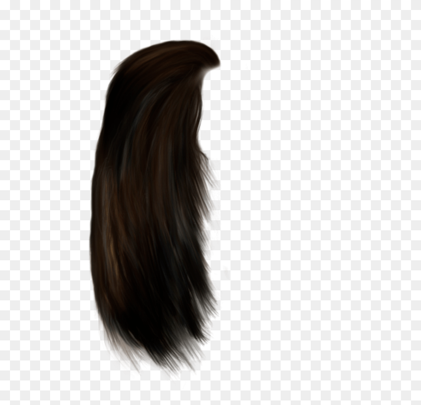 490x749 Beautiful Brown Darkbrown Red Wig Hair Longhair Long Hair Male, Person, Human, Haircut HD PNG Download
