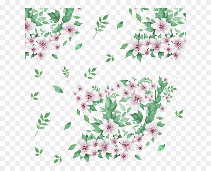 641x620 Beautiful Floral Flowers With Green Leaf Vector, Plant, Geranium, Flower HD PNG Download
