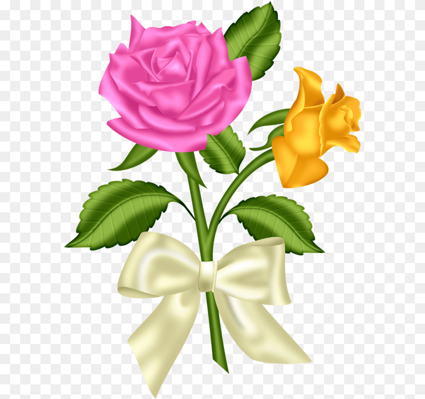 Beautiful Flower Clipart, Plant, Rose, Petal Transparent PNG