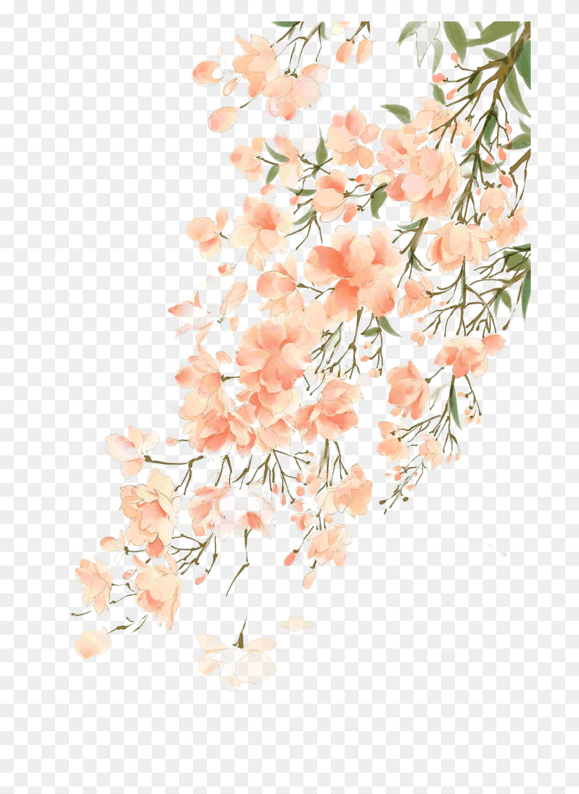 701x1091 Beautiful Flower Illustration Antiquity Watercolor, Plant, Blossom, Graphics HD PNG Download