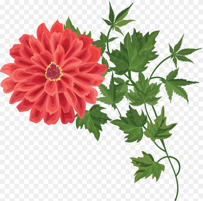 1000x989 Beautiful Flower Vase With Flowers Portable Network Graphics, Dahlia, Plant, Daisy, Herbal Sticker PNG