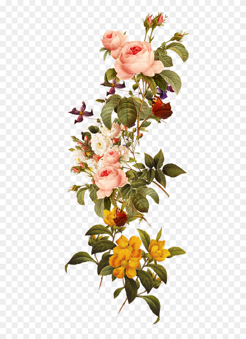 532x1097 Красивые Цветы 5711096 Прозрачный Бесплатная Графика Красивые Цветы, Растения, Цветок, Цветение Hd Png Загружать