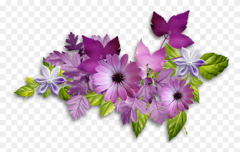 1149x698 Beautiful Flowers As A Wallpaper In Resolution Pozdravlenie S Dnem Socialnogo Rabotnika, Plant, Petal, Flower HD PNG Download
