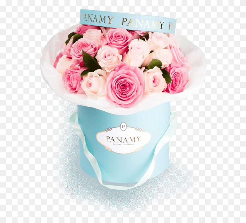 572x701 Красивые Цветы В Садовые Розы Црич, Растение, Цветок, Цветение Hd Png Скачать