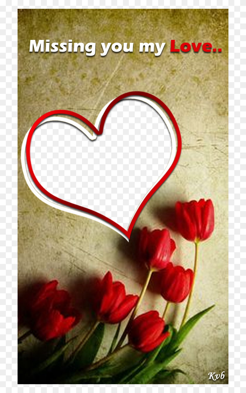 720x1280 Beautiful Love Frame With Roses Beautiful Love Photo Frames, Petal, Flower, Plant HD PNG Download