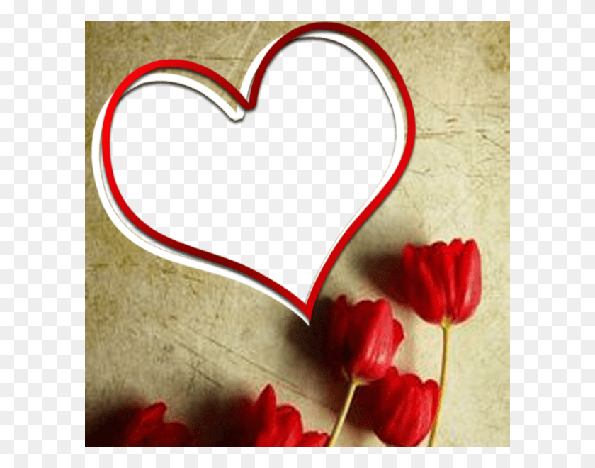 600x600 Beautiful Love Frame With Roses Miss You Frame, Petal, Flower, Plant HD PNG Download