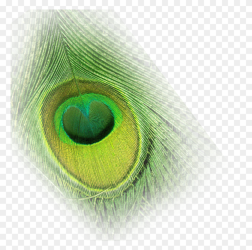 772x774 Beautiful Peacock Feathers Eye Pictures Circle, Animal, Bird, Rug HD PNG Download