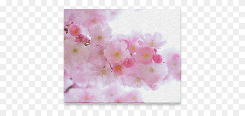 415x340 Beautiful Pink Japanese Cherry Tree Blossom Canvas Cherry Blossom, Plant, Flower, Rug HD PNG Download