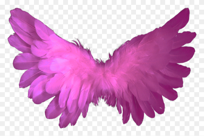 998x642 Beautiful Pink Wings Flying Fairy Halloween Butterfly Angel, Clothing, Apparel, Purple HD PNG Download