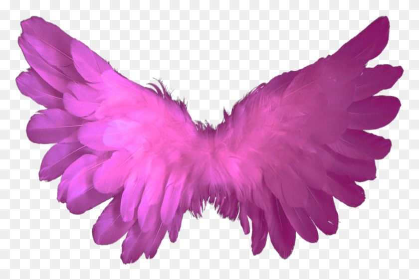 2229x1435 Beautiful Pink Wings Flying Fairy Halloween Butterfly Pink Angel Wings, Clothing, Apparel, Purple HD PNG Download