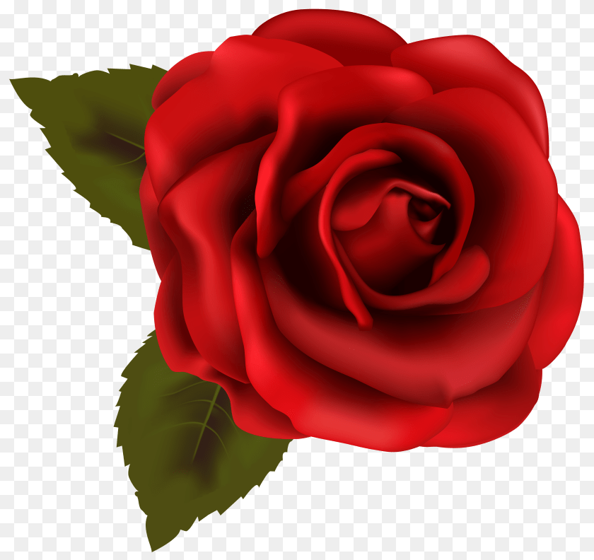 6904x6511 Beautiful Red Rose Clip Art Gallery, Game, Super Mario, Baby, Person Transparent PNG