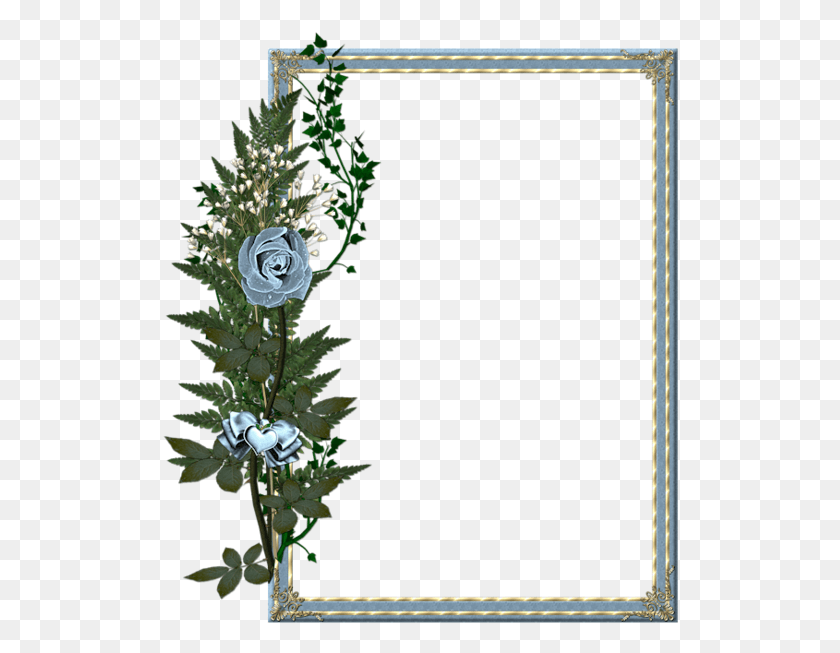 516x593 Beautiful Transparent Photo Frame, Plant, Tree, Rose HD PNG Download
