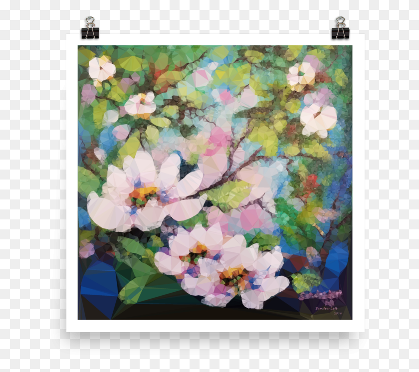 647x686 Beauty Blooms Print Enhance Matte Paper Moth Orchid, Растение Hd Png Скачать