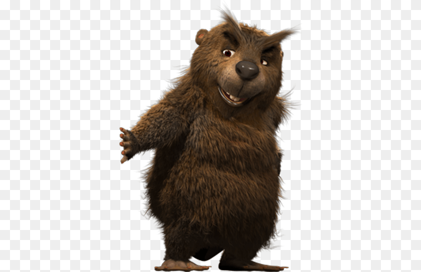 Beaver, Animal, Bear, Mammal, Wildlife Clipart PNG