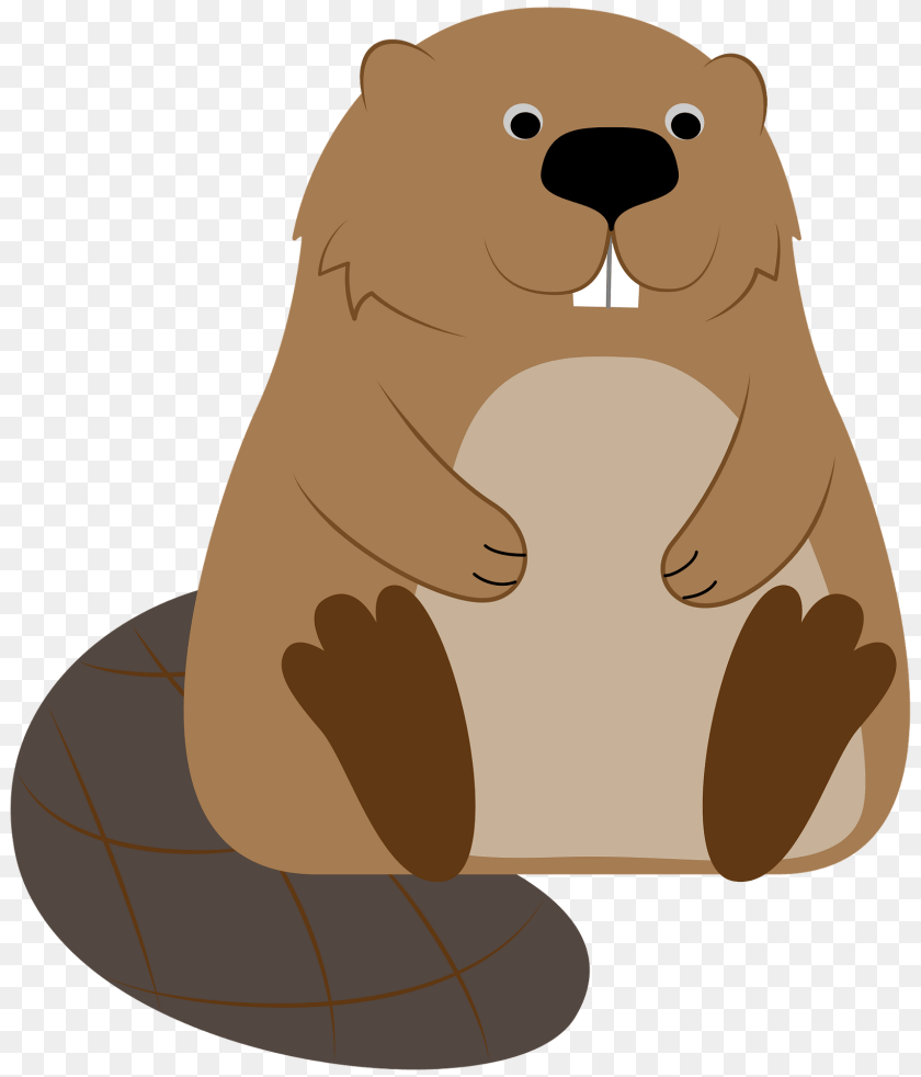 1642x1920 Beaver Clipart, Animal, Bear, Mammal, Wildlife PNG