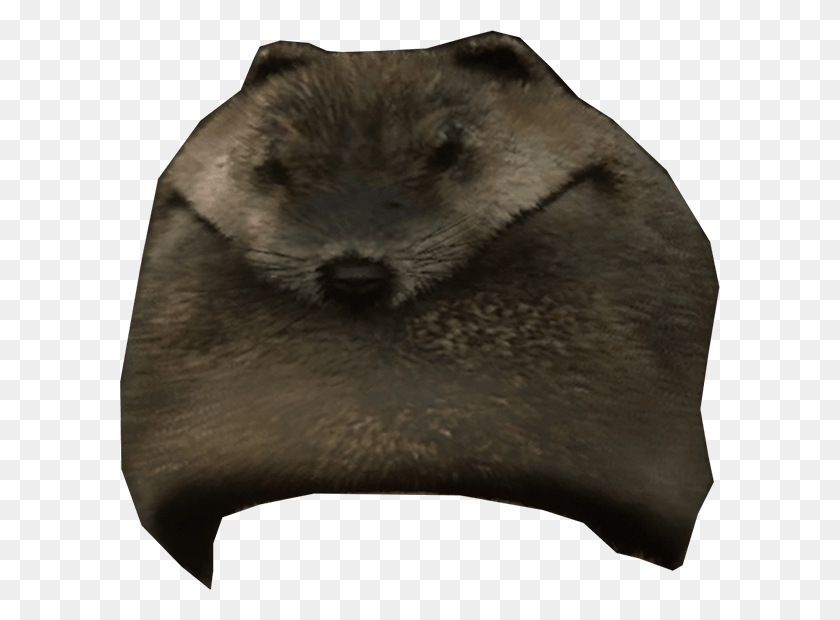 600x560 Beaver Mountain Hat Red Dead 2 Beaver Hat, Wildlife, Animal, Mammal HD PNG Download