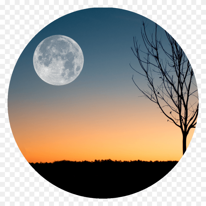 991x989 Because I39m Still In Love With You On This Harvest Full Moon In Libra March 2019, Nature, Outdoors, Moon HD PNG Download