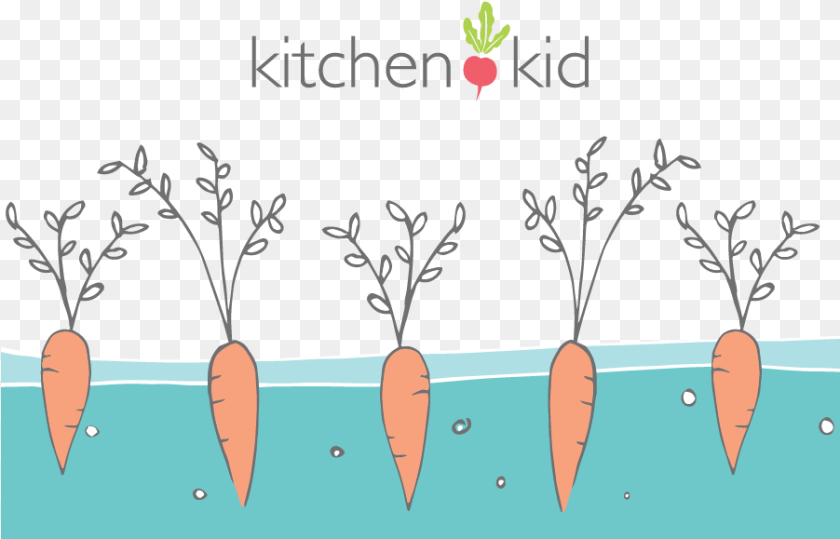 902x579 Becky G Illustration, Carrot, Food, Plant, Produce Transparent PNG