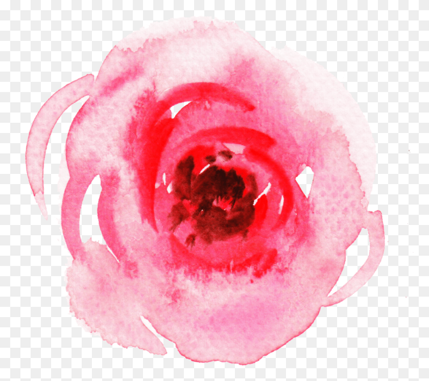 1631x1433 Кровать Для Ванны И Не Только Садовые Розы, Растение, Роза, Цветок Hd Png Скачать