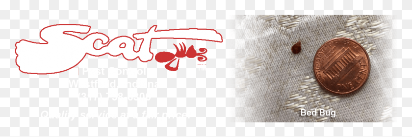 1061x301 Bed Bug Lobster, Home Decor, Text, Linen HD PNG Download