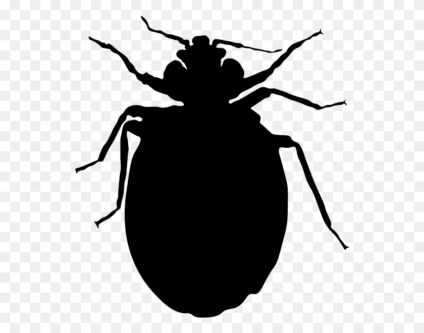544x600 Bed Bug Weevil, Gray, World Of Warcraft HD PNG Download