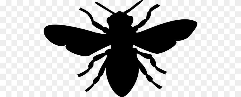 Bee Gray Transparent PNG