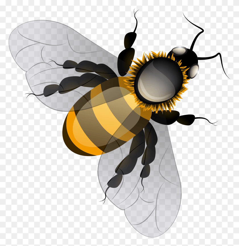 2832x2923 Bee Clip Art Bee Sunflower Background, Honey Bee, Insect, Invertebrate HD PNG Download